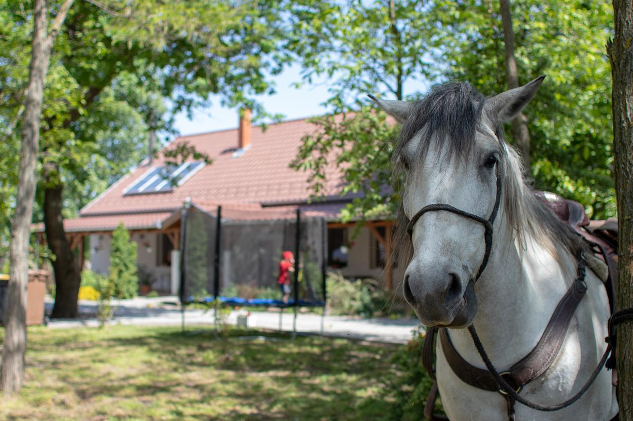 Toelgyfa Vendeghaz Hotel Kiskoros Buitenkant foto