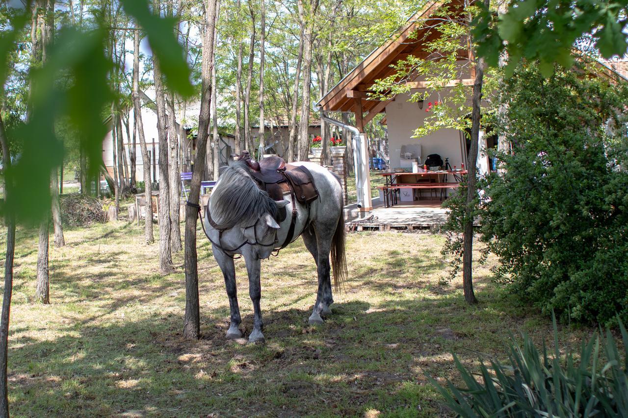 Toelgyfa Vendeghaz Hotel Kiskoros Buitenkant foto